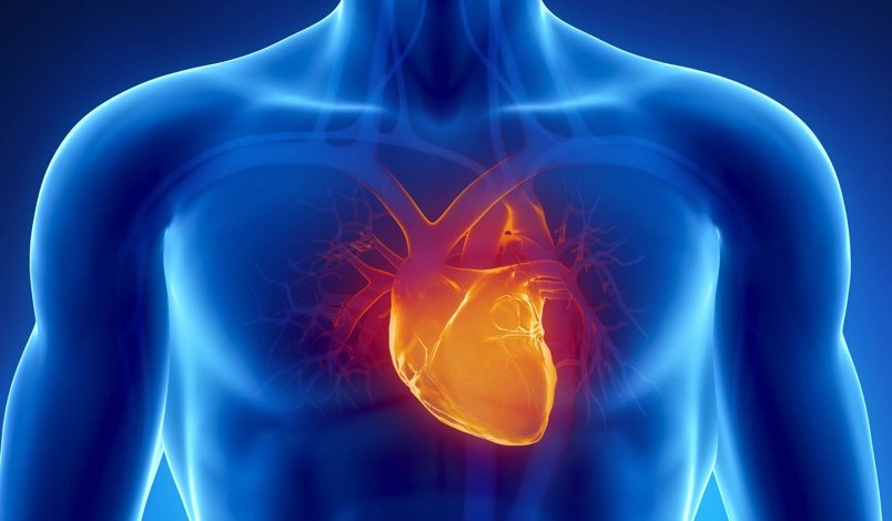Cuida tu Salud Cardiovascular